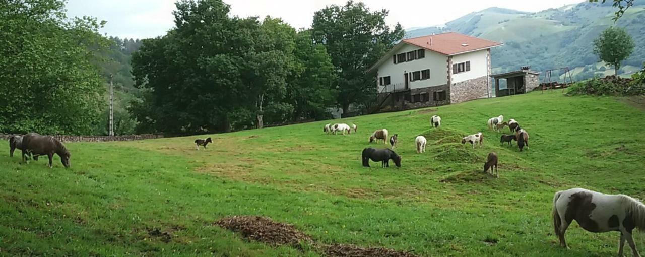 Elbete Autxikoborda 게스트하우스 외부 사진